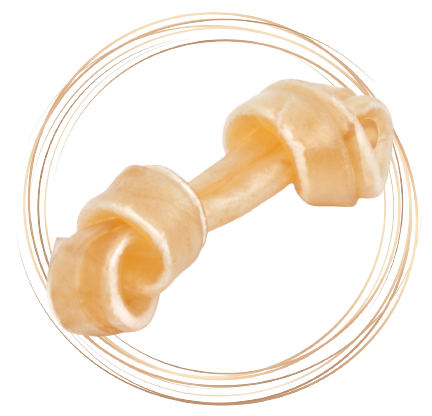 Pamlsky pro psy