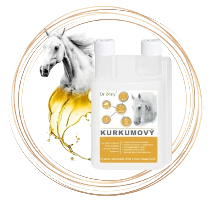 Dromy Kurkumový sirup 1 l