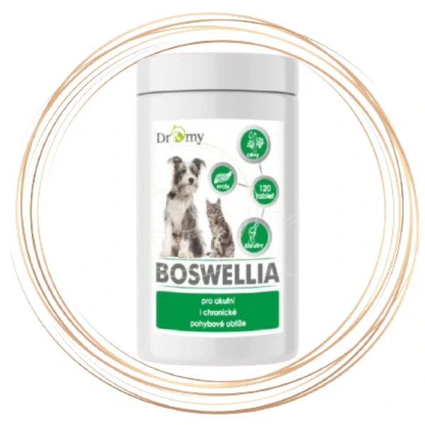 Dromy Boswellia 120 tbl.