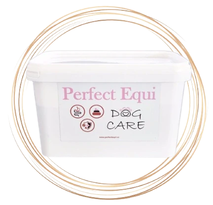 Perfect Equi DOG CARE