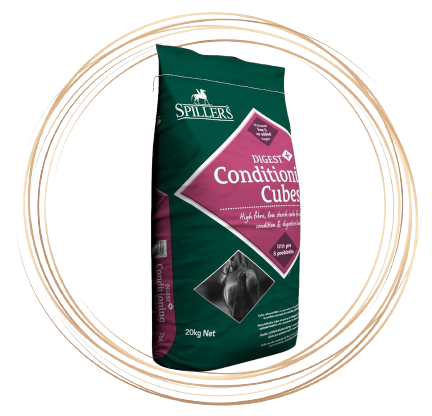 Spillers Digest+ Conditioning Cubes 20kg