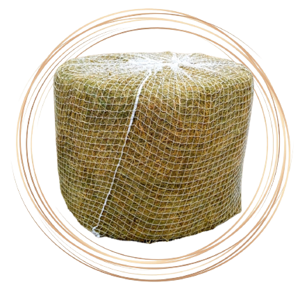 Síť na celý balík sena, průměr 180cm - Oka 4cm