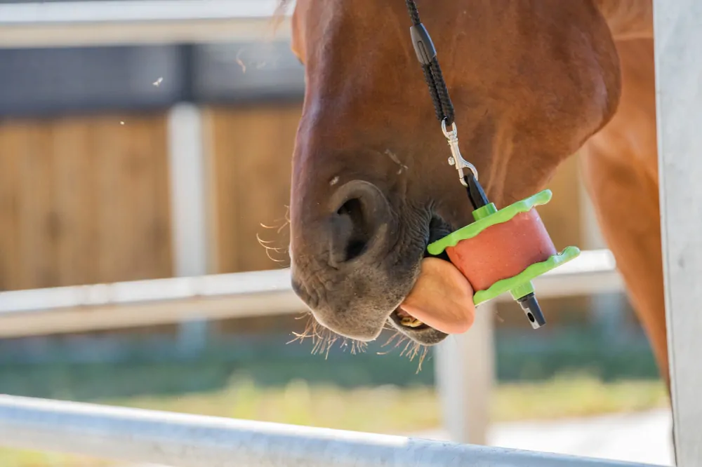 Koňské lízátko Lolly-Lick - zdravé lízátko pro koně - různé příchutě