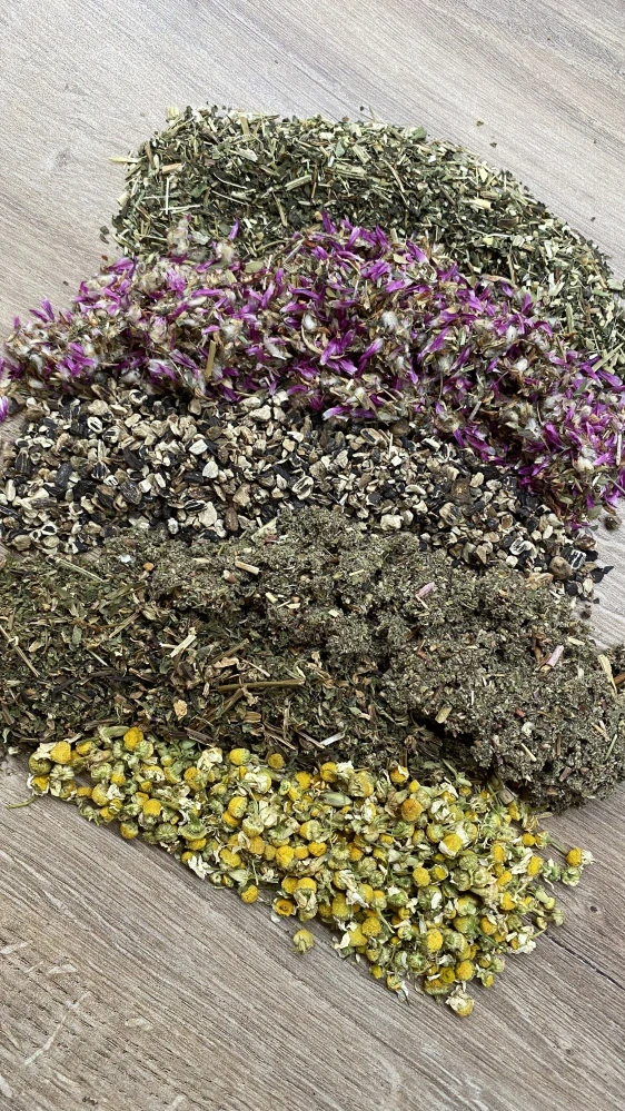 Bylinná směs - Reprodukce - podpora zabřeznutí 1kg