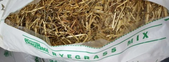 Horsehage Ryegrass 23,5kg