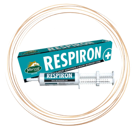 Respiron pasta