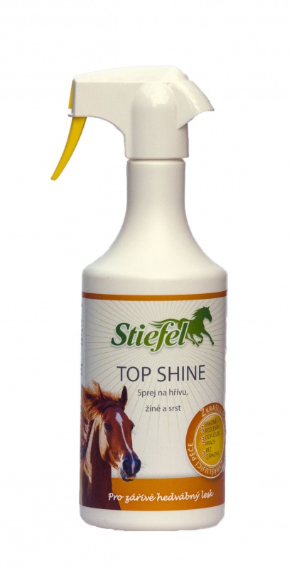 Top Shine - láhev s rozprašovačem 750ml