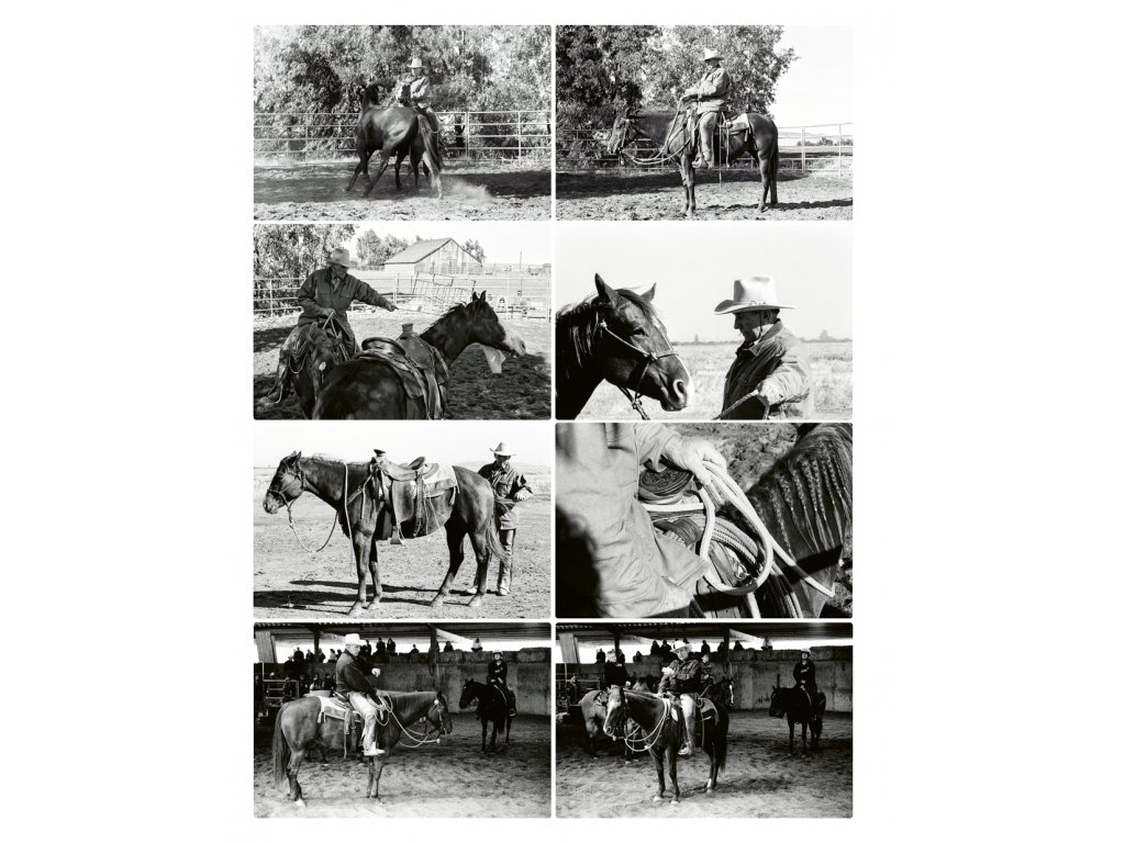 Kniha - Strašidlo zvané horsemanship díl 2., Svět horsemanů, Bořánek