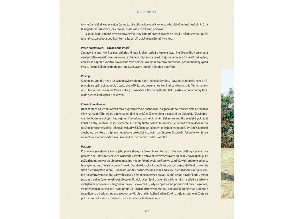 Kniha - Strašidlo zvané horsemanship díl 2., Svět horsemanů, Bořánek
