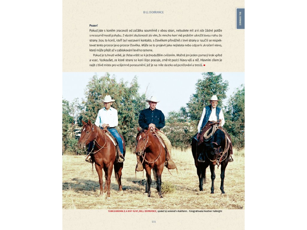 Kniha - Strašidlo zvané horsemanship díl 2., Svět horsemanů, Bořánek