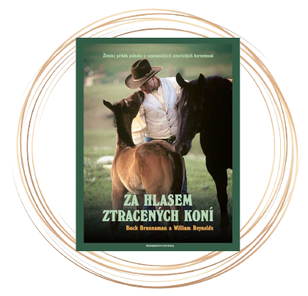 Kniha - Za hlasem ztracených koní