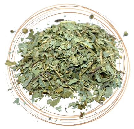 Eukalyptus 1g