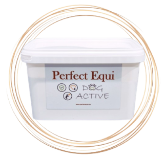 PERFECT EQUI DOG ACTIVE 500g
