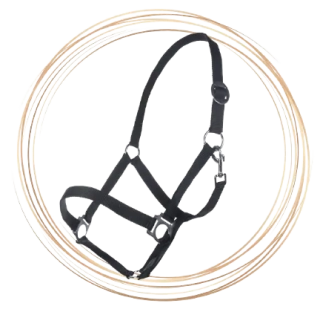 HKM ohlávka Classic - černá