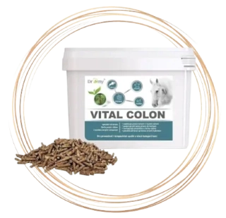 Dromy Vital Colon