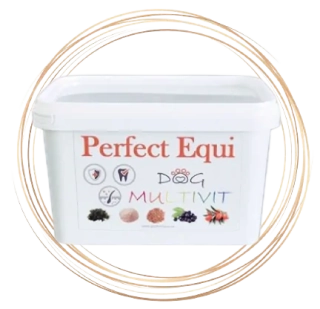 PERFECT EQUI DOG MULTIVIT