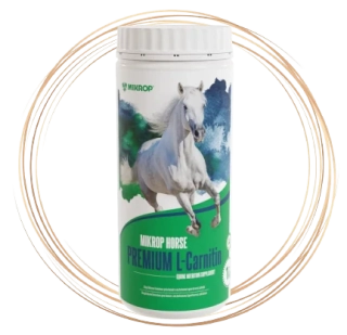 MIKROP HORSE PREMIUM L-CARNITIN 1 kg