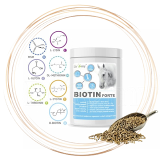 Dromy biotin forte 750g