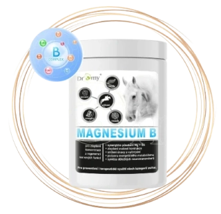 Dromy Magnesium B