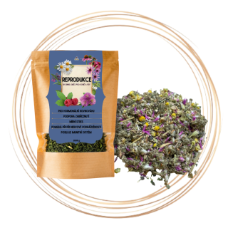 Bylinná směs - Reprodukce - podpora zabřeznutí 1kg