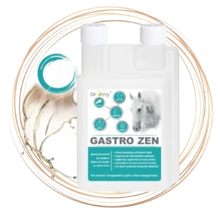 Gastro Zen 1 l