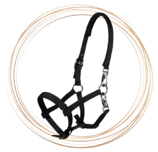 Hříběcí ohlávka Millie