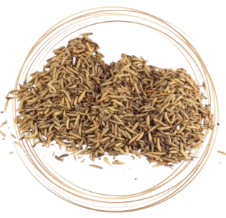 Sušená larva Bráněnky 1kg