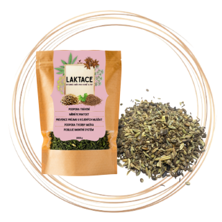 Bylinná směs - Laktace 1kg