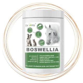 Dromy BOSWELLIA Serrata FORTE 750 g