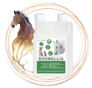 Dromy Boswelia Liquid