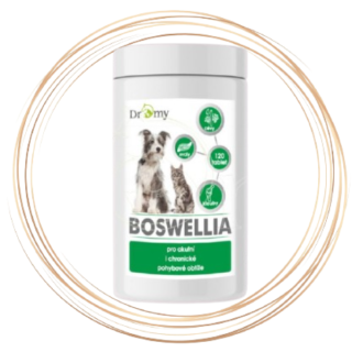 Dromy Boswellia 120 tbl.