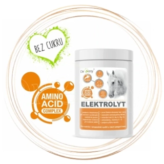 Dromy Elektrolyt