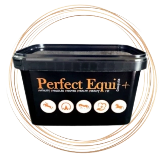 Perfect Equi Complete+ Minerální doplněk