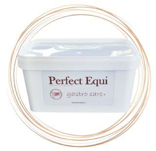 PERFECT EQUI GASTRO CARE+