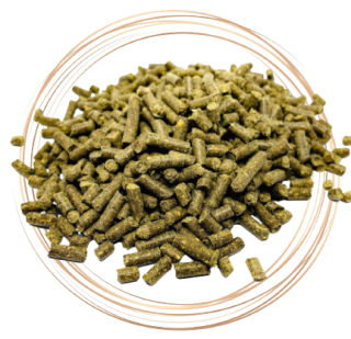 ZEN Protect Green (Paraclean)