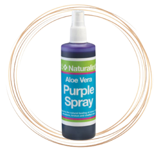 Purple spray s Aloe Vera na hojení ran (Láhev, 200 ml)