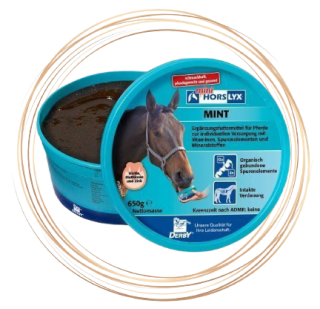 Horslyx Mint