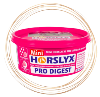 HORSLYX Pro Digest 650g