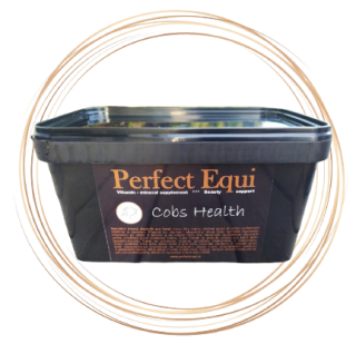 Perfect Equi - COBS HEALTH