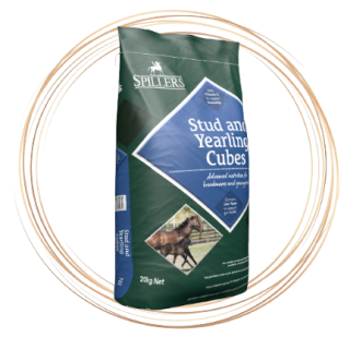Stud and Yearling Cubes 20kg