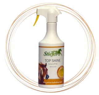 Top Shine - láhev s rozprašovačem 750ml