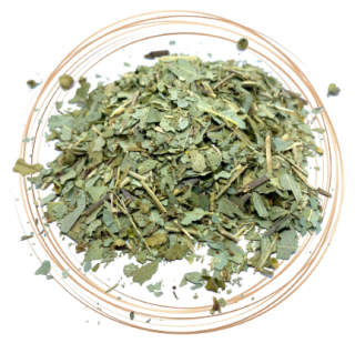 Eukalyptus 1g